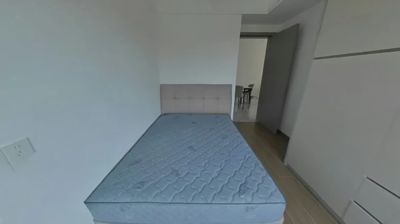 Benevolent New Mansion Residence - View 6