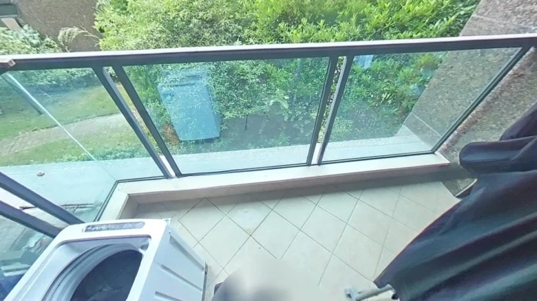 Sandalwood Garden - View 9