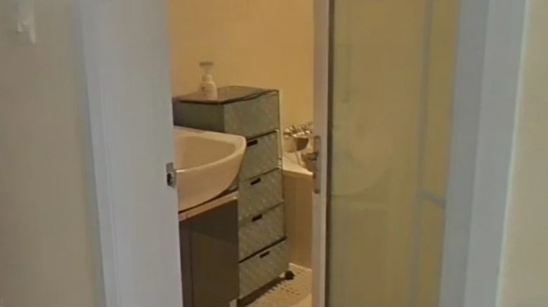 Golden Estate Manor - View 9