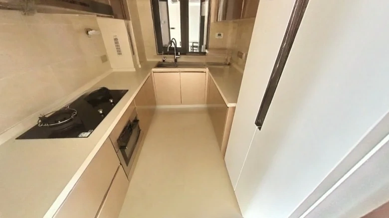 Platinum Delight Rhinoceros Lake - View 8