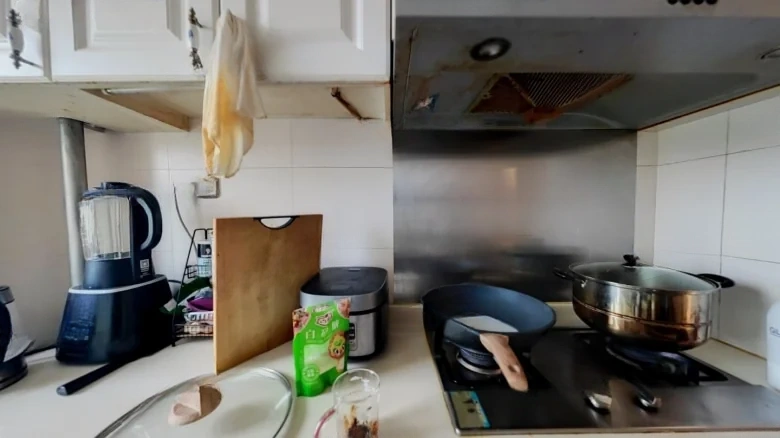 Vanke Kingdom East Borough - View 6