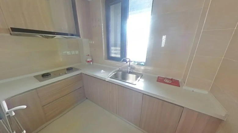 Zhongxin Fengyue City - View 4