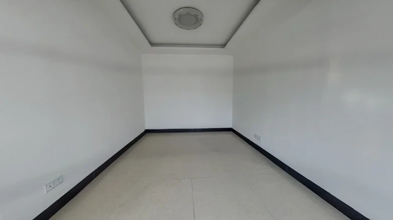 Dongli Tower - View 2