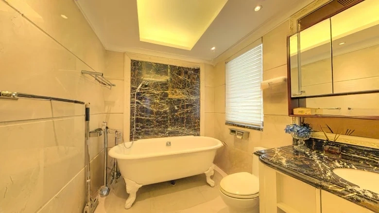 Star River Mountain Bay Sea灣应注意的是， - View 7