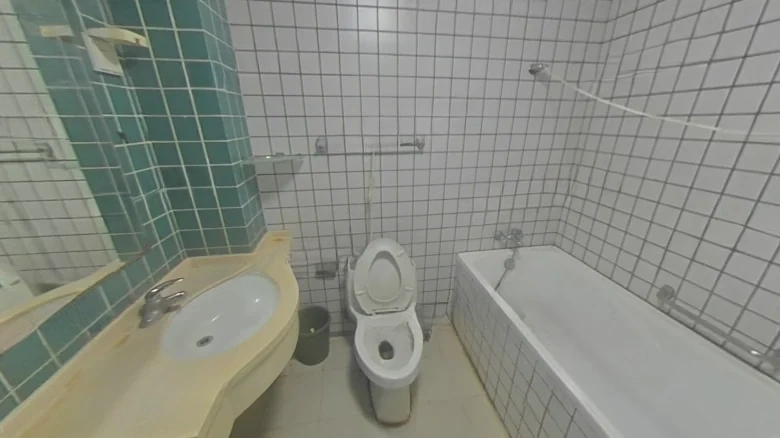 Yulong Tower - View 8