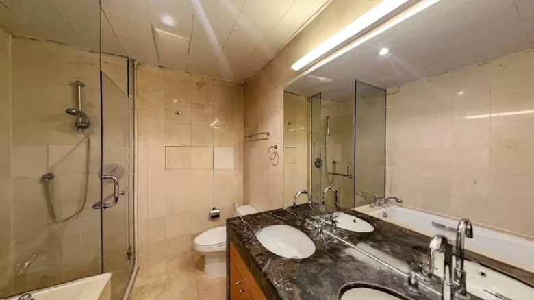 Park Avenue - View 11