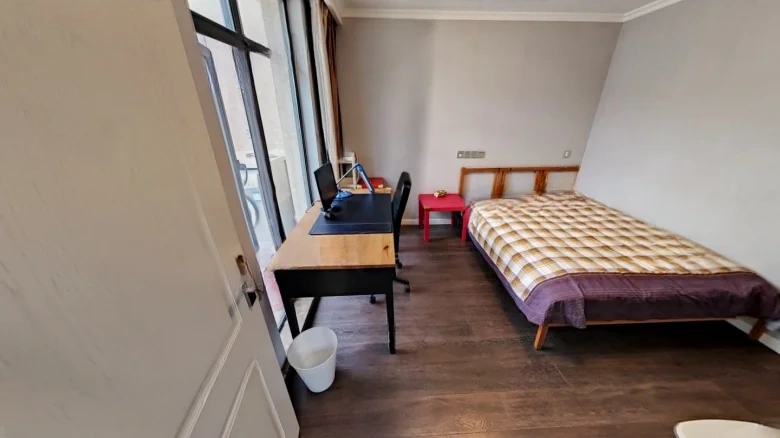 Modern Garden Villa - View 7