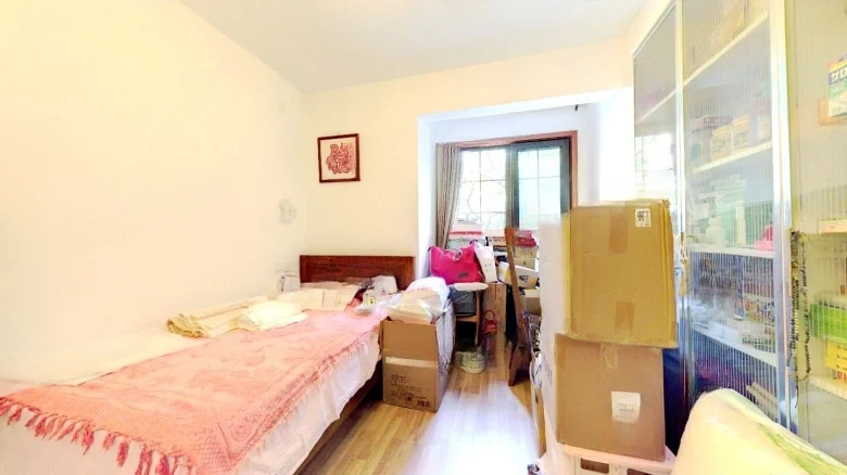 Sunshine Yard Above - View 3