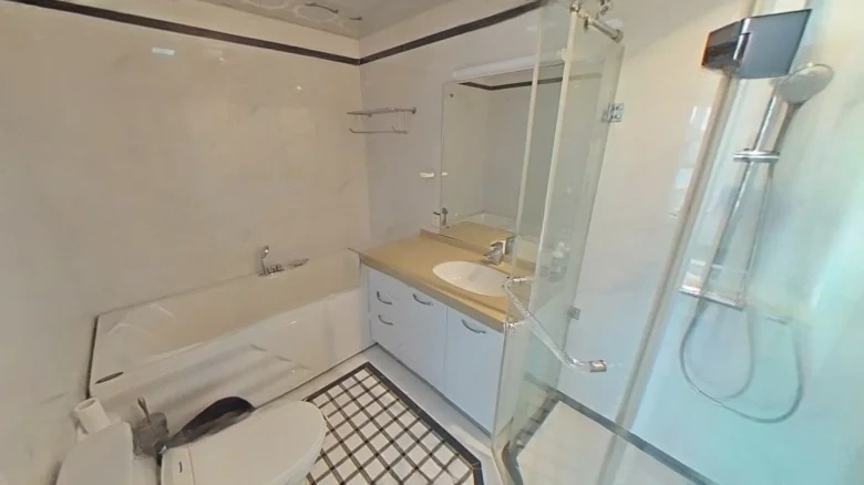 Shimao New Wulihe - View 10