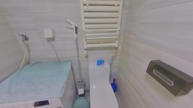 Oak Forest County - View 9