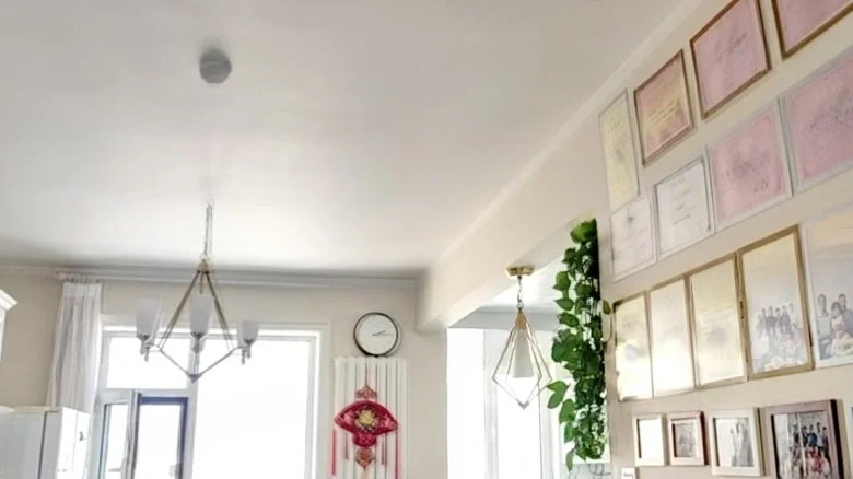 Sincere Maple International - View 9