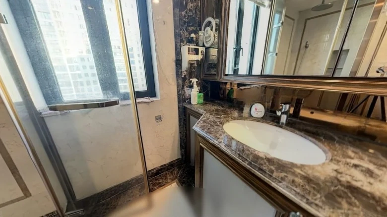 Phase IV of the Strait International Community - View 7