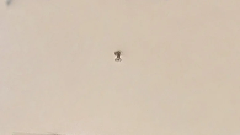 Jiayu Tower - View 2