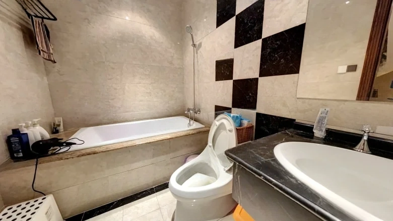 Dongjing New City - View 11