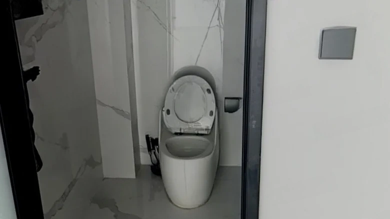 Seal Impression Across the Vast Sky - View 11