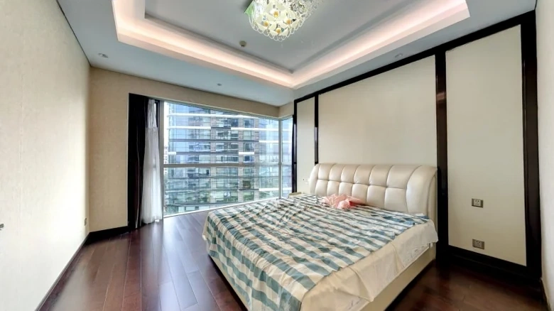 Chongqing Palmyra Spring International Center - View 3