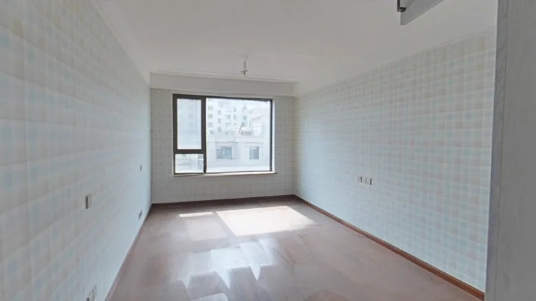 Shimao Twelve Mansion - View 3