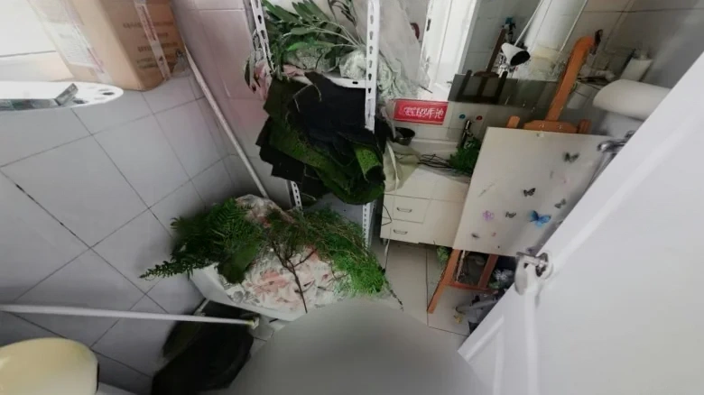 Maple Dew Imperial Garden - View 18