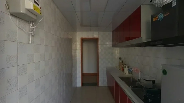 Newspaper Agency Staff Housing (New Building) - View 8