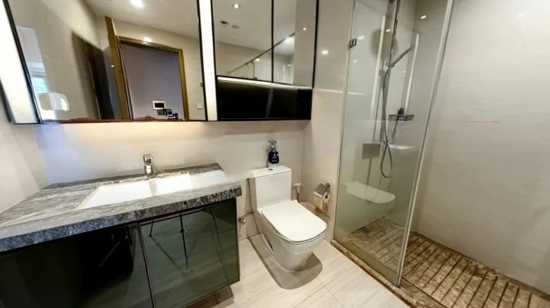 Prosperous Dragon City Center - View 10