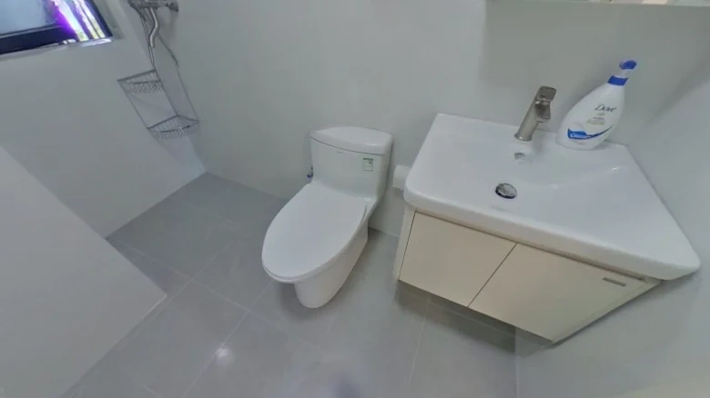 Hubei Second District Phase II - View 9