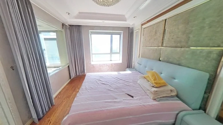 Shimao New Wulihe - View 3