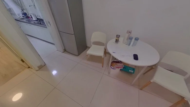 Zaojun East Li - View 4