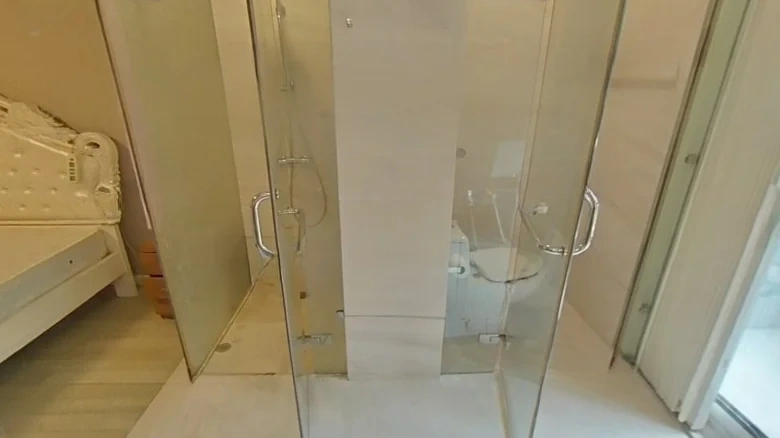 Hua Yuan Swan Castle - View 8