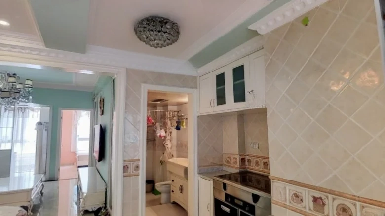 Phoenix Perch Paulownia - View 11