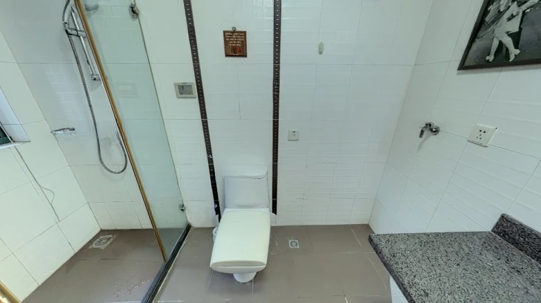 Osmanthus City Purple Cloud Garden - View 11