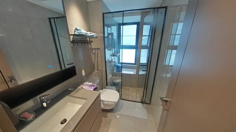 Jiangxin Seal - View 9