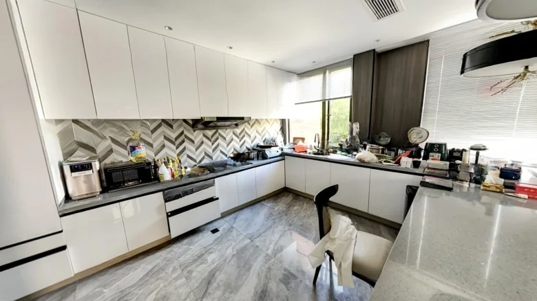 Sutong 1号 - View 10