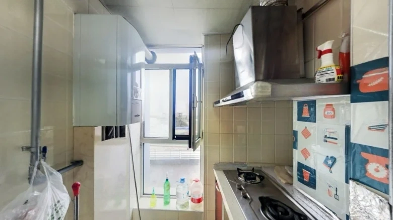 Forest International - View 6