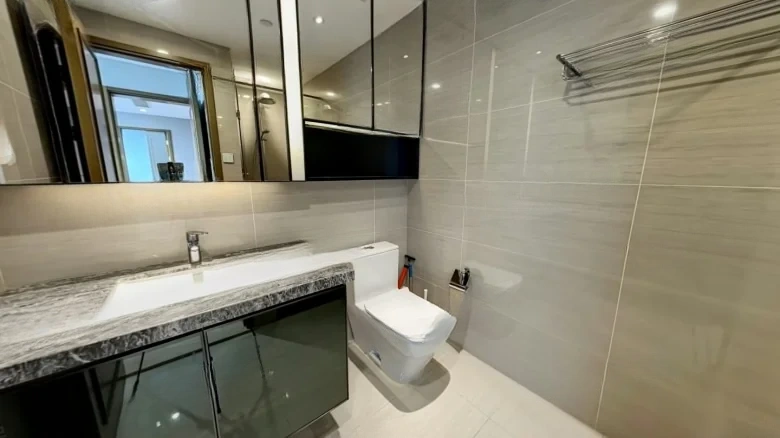 Prosperous Dragon City Center - View 9