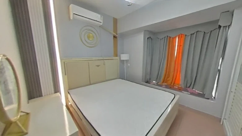 Sunlight Lily - View 3