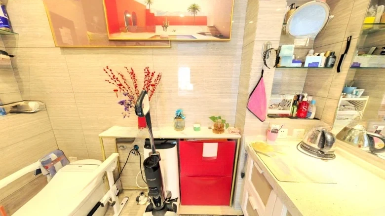 Shimao Xin Wuliheshan - View 9