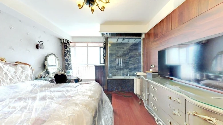 Galaxy Prosperity City - View 4