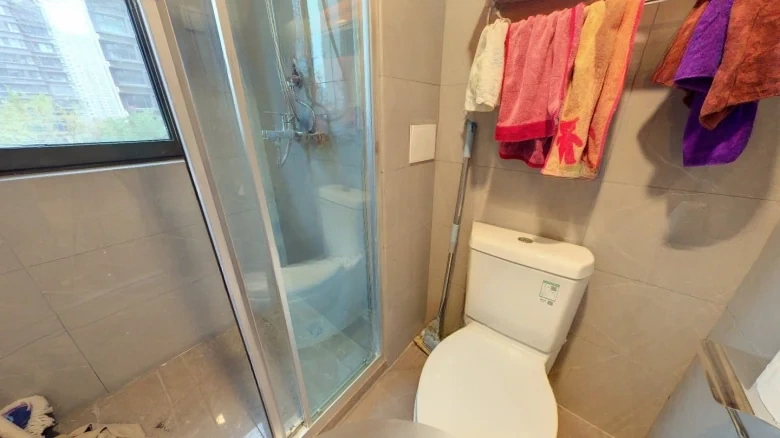 Oriental Bohui翠 can be translated as - View 9