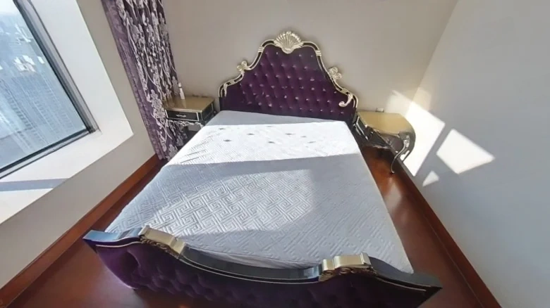 Elegance Song Residence - View 3