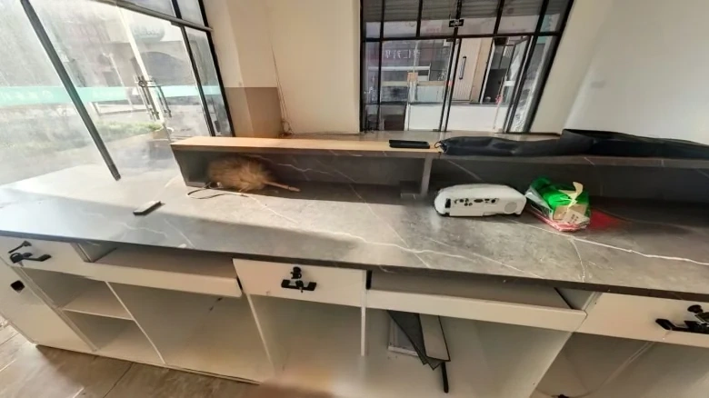 Hui Fu Huayuan Apartments - View 8