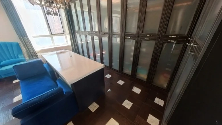 Shimao Xin Wulihu - View 2