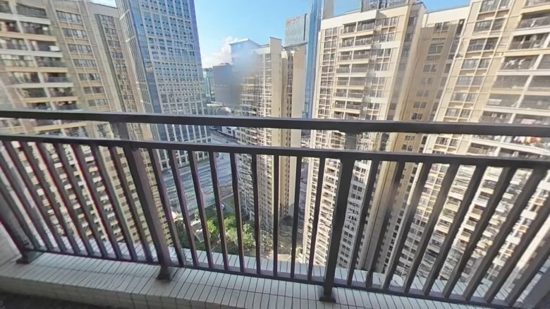 Dragon Phoenix Garden - View 13