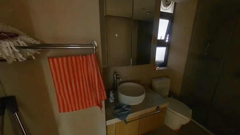 Fortune Abundance Tower - View 6