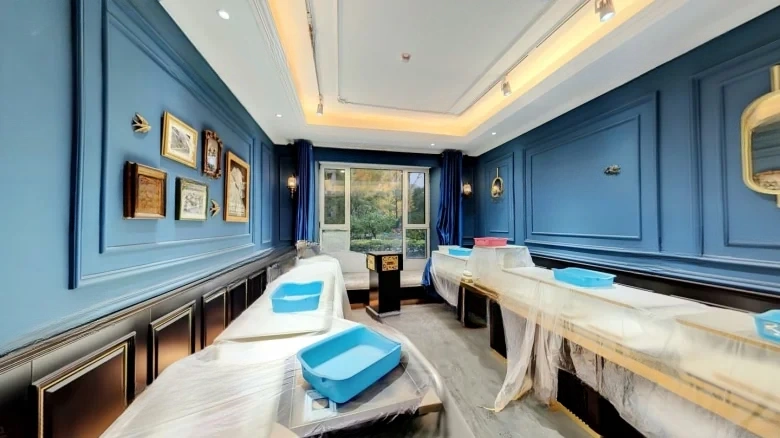 Far-reaching Phoenix Pearl Bay - View 5