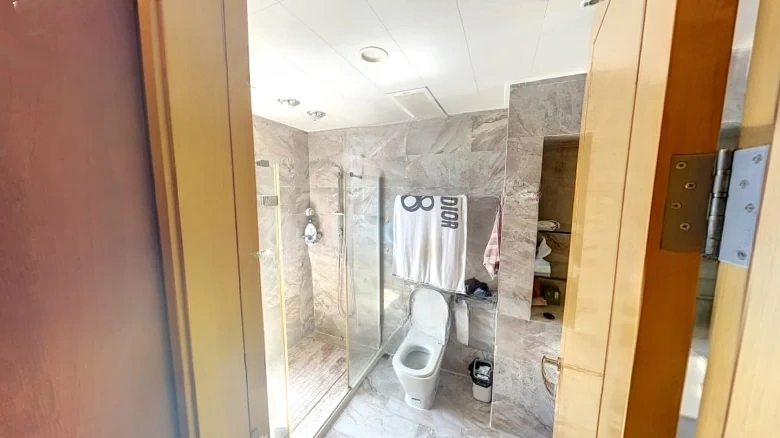 Everlasting Affinity 1985 - View 8