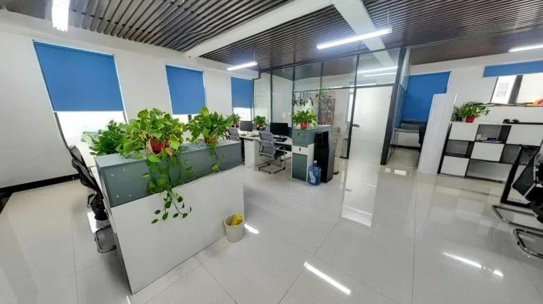 East 8 District Corporate Mansion - View 4