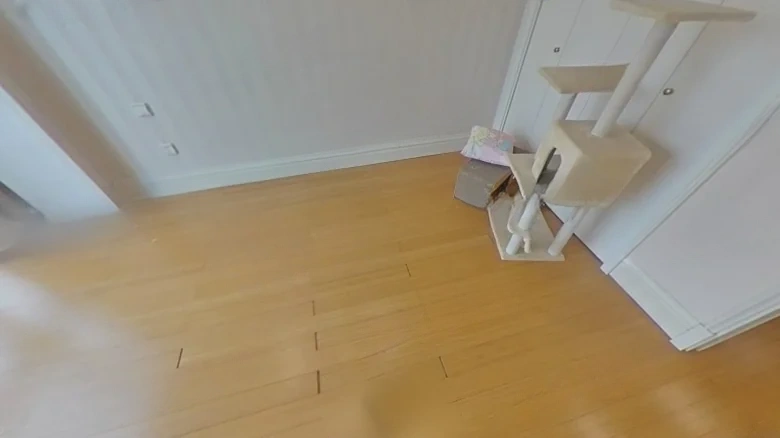 New Land International Apartment - View 4