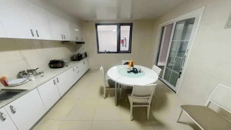 Jinglin Original Manuscript - View 15