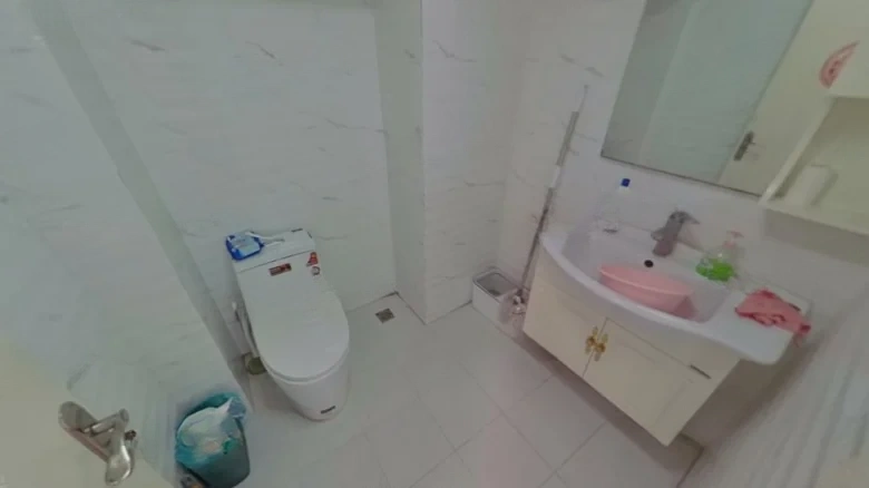 Green Sun Island Qing Construction - View 5