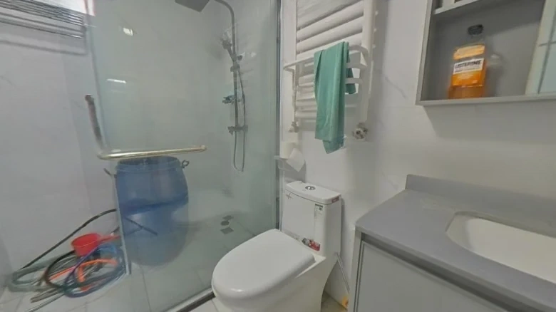 Liqun Dingfu - View 8